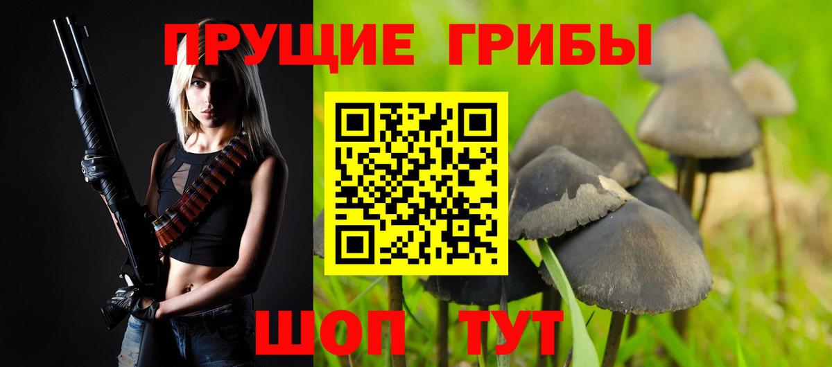 Псилоцибиновые грибы ЛСД  Вход с VPN  Псилоцибиновые грибы MAGIC MUSHROOMS  Миллерово 